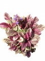 Ayube multicolor