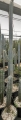 Cereus aethiops