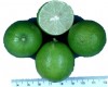 Limón criollo con semilla