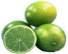 Limón persa