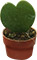 Hoja de corazón