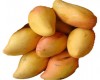 Mango criollo
