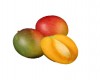 Mango petacón 'Haden'