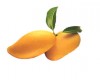 Mango 'Manila'