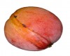 Mango petacón 'Tommy'
