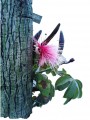 Árbol Clavellina