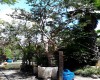 Guayabo